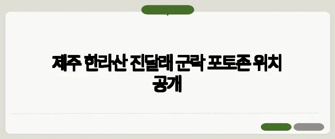 제주 한라산 진달래 군락 포토존 위치 공개