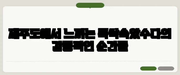 제주도에서 느끼는 폭싹속았수다의 감동적인 순간들