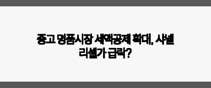 중고 명품시장 세액공제 확대, 샤넬 리셀가 급락?