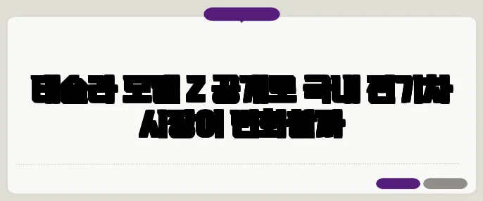 테슬라 모델 Z 공개로 국내 전기차 시장이 변화할까