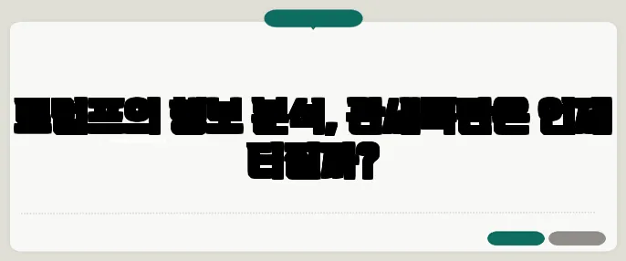 트럼프의 행보 분석, 관세폭탄은 언제 터질까?