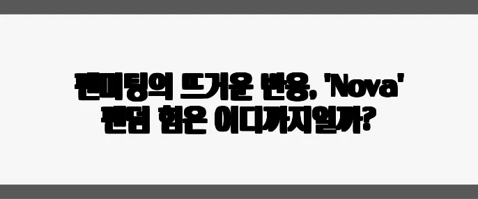 팬미팅의 뜨거운 반응, 'Nova' 팬덤 힘은 어디까지일까?