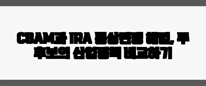 CBAM과 IRA 통상전쟁 해법, 두 후보의 산업정책 비교하기