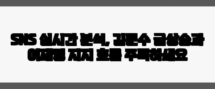 SNS 실시간 분석, 김문수 급상승과 이재명 지지 흐름 주목하세요