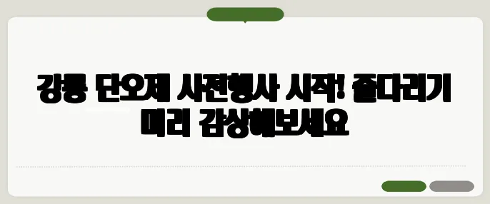 강릉 단오제 사전행사 시작! 줄다리기 미리 감상해보세요