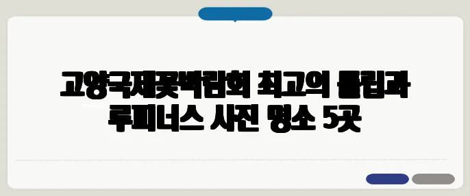 고양국제꽃박람회 최고의 튤립과 루피너스 사진 명소 5곳