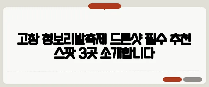 고창 청보리밭축제 드론샷 필수 추천 스팟 3곳 소개합니다