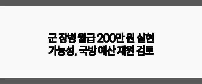 군 장병 월급 200만 원 실현 가능성, 국방 예산 재원 검토