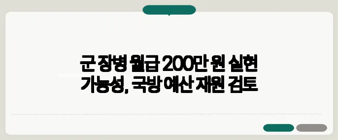 군 장병 월급 200만 원 실현 가능성, 국방 예산 재원 검토