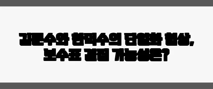 김문수와 한덕수의 단일화 협상, 보수표 결집 가능성은?