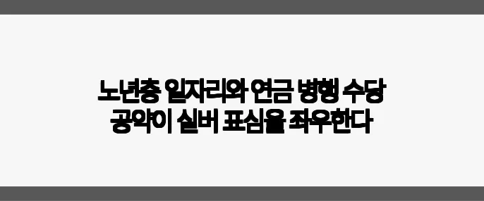노년층 일자리와 연금 병행 수당 공약이 실버 표심을 좌우한다
