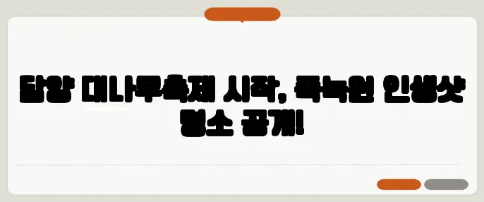 담양 대나무축제 시작, 죽녹원 인생샷 명소 공개!