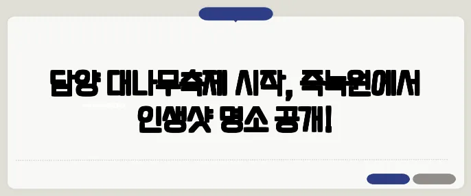 담양 대나무축제 시작, 죽녹원에서 인생샷 명소 공개!