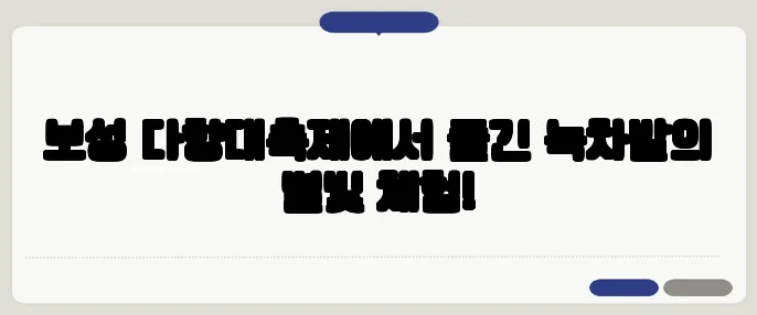 보성 다향대축제에서 즐긴 녹차밭의 별빛 체험!