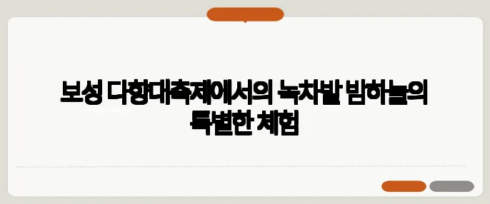 보성 다향대축제에서의 녹차밭 밤하늘의 특별한 체험