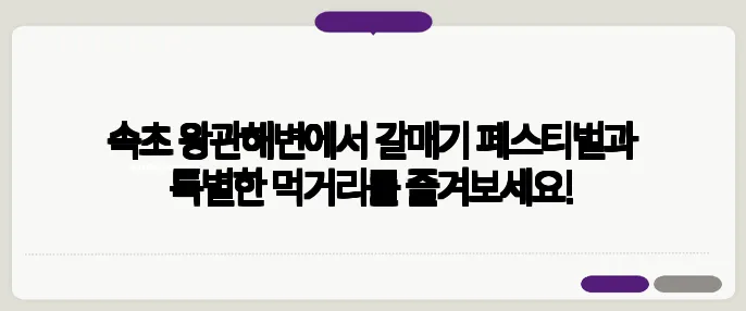 속초 왕관해변에서 갈매기 페스티벌과 특별한 먹거리를 즐겨보세요!