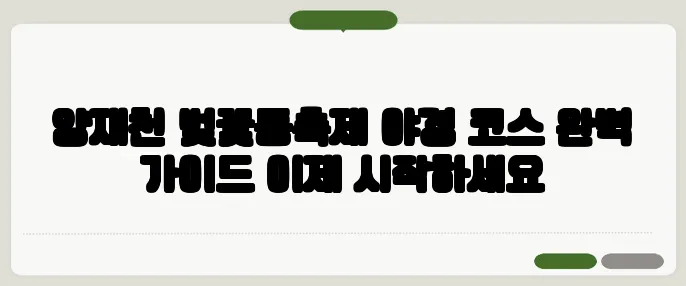 양재천 벚꽃등축제 야경 코스 완벽 가이드 이제 시작하세요