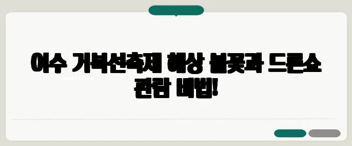 여수 거북선축제 해상 불꽃과 드론쇼 관람 비법!
