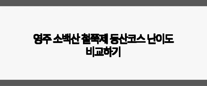 영주 소백산 철쭉제 등산코스 난이도 비교하기