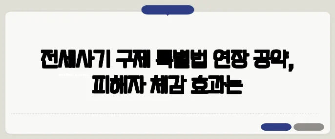 전세사기 구제 특별법 연장 공약, 피해자 체감 효과는