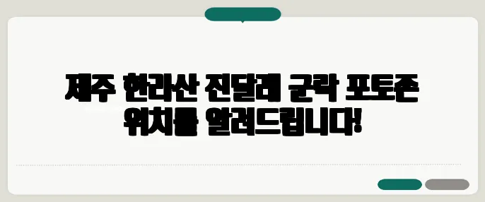 제주 한라산 진달래 군락 포토존 위치를 알려드립니다!