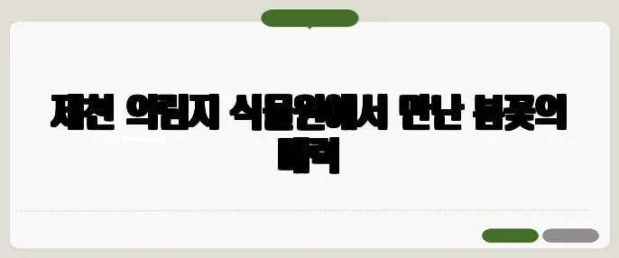제천 의림지 식물원에서 만난 봄꽃의 매력