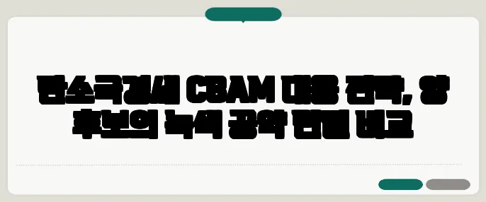 탄소국경세 CBAM 대응 전략, 양 후보의 녹색 공약 면밀 비교