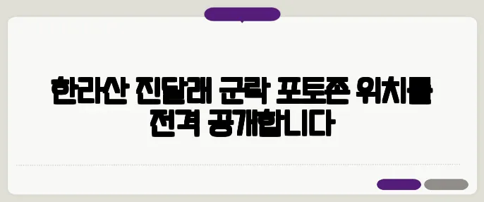 한라산 진달래 군락 포토존 위치를 전격 공개합니다