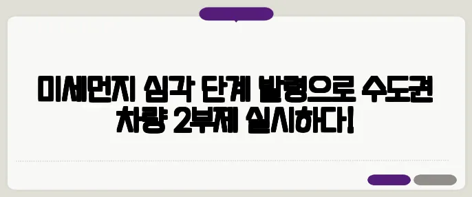 미세먼지 심각 단계 발령으로 수도권 차량 2부제 실시하다!