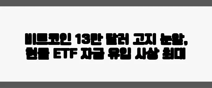 비트코인 13만 달러 고지 눈앞, 현물 ETF 자금 유입 사상 최대