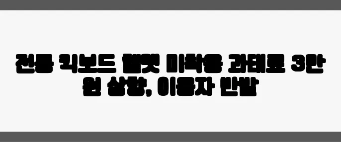 전동 킥보드 헬멧 미착용 과태료 3만 원 상향, 이용자 반발