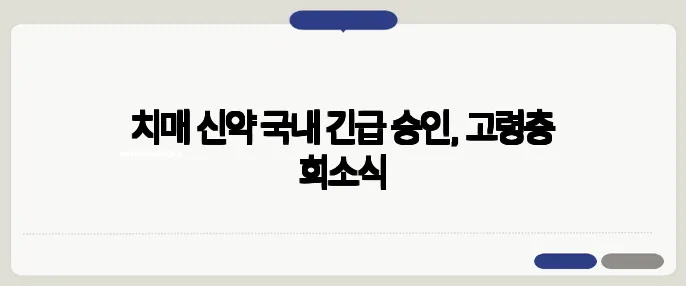 치매 신약 국내 긴급 승인, 고령층 희소식