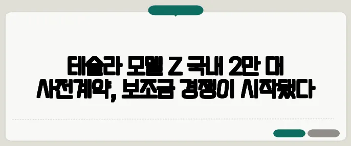 테슬라 모델 Z 국내 2만 대 사전계약, 보조금 경쟁이 시작됐다