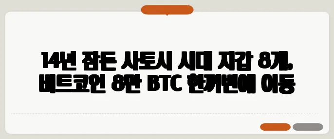 14년 잠든 사토시 시대 지갑 8개, 비트코인 8만 BTC 한꺼번에 이동