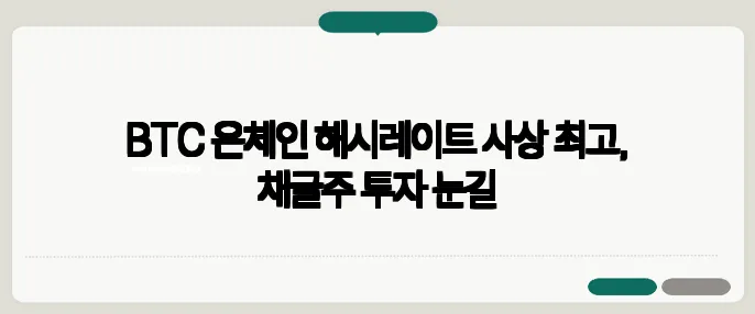 BTC 온체인 해시레이트 사상 최고, 채굴주 투자 눈길