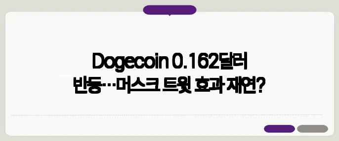 Dogecoin 0.162달러 반등…머스크 트윗 효과 재연?