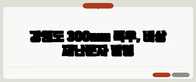 강원도 300mm 폭우, 비상 재난문자 발령