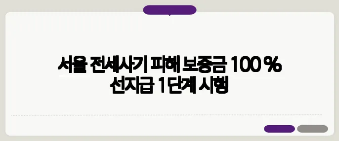 서울 전세사기 피해 보증금 100 % 선지급 1단계 시행