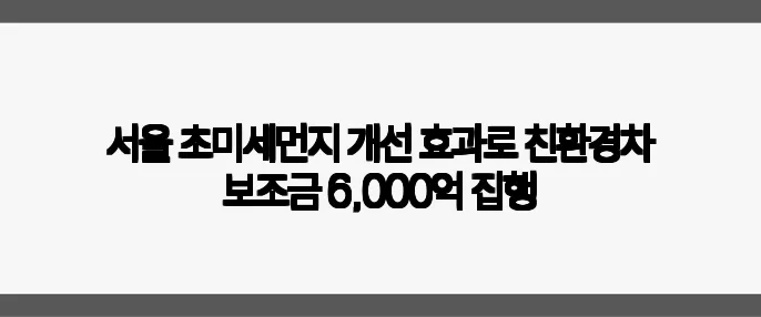 서울 초미세먼지 개선 효과로 친환경차 보조금 6,000억 집행