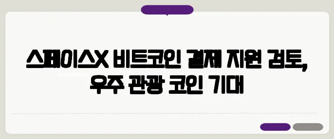 스페이스X 비트코인 결제 지원 검토, 우주 관광 코인 기대
