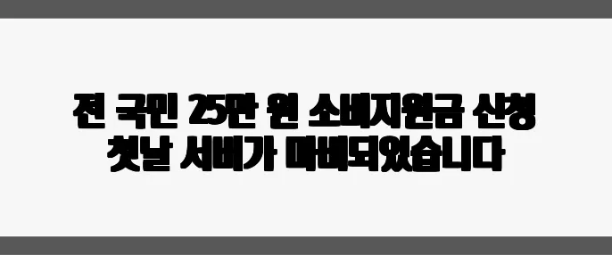전 국민 25만 원 소비지원금 신청 첫날 서버가 마비되었습니다
