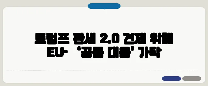 트럼프 관세 2.0 견제 위해 EU·日 ‘공동 대응’ 가닥