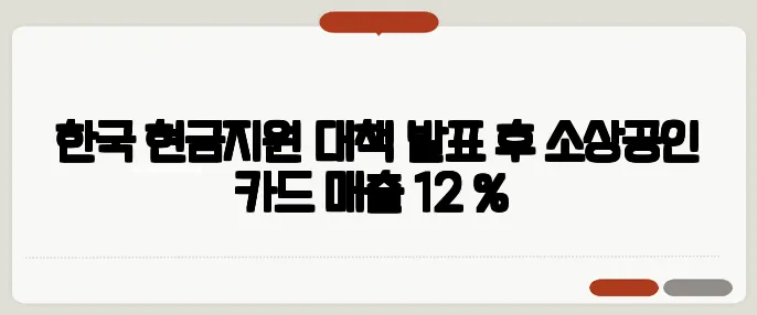 한국 현금지원 대책 발표 후 소상공인 카드 매출 12 %↑