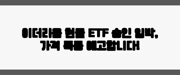 이더리움 현물 ETF 승인 임박, 가격 폭등 예고합니다!